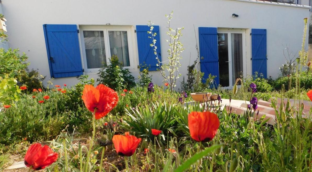 Maisonnette De Jardin มาร์กเซย ภายนอก รูปภาพ